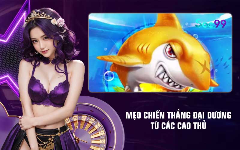 Mẹo chiến thắng đại dương từ các cao thủ