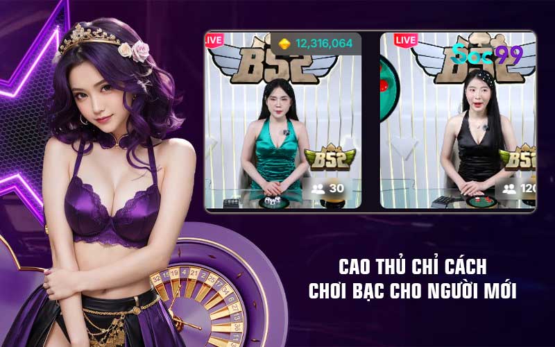 Cao thủ chỉ cách chơi bạc cho người mới