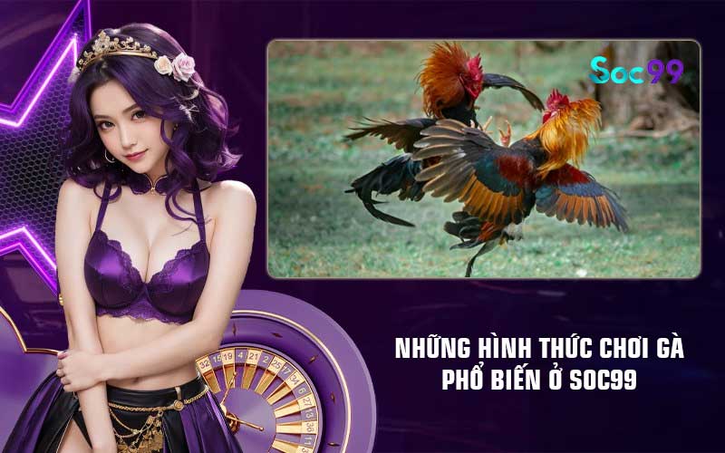 Những hình thức chơi gà phổ biến ở Soc99