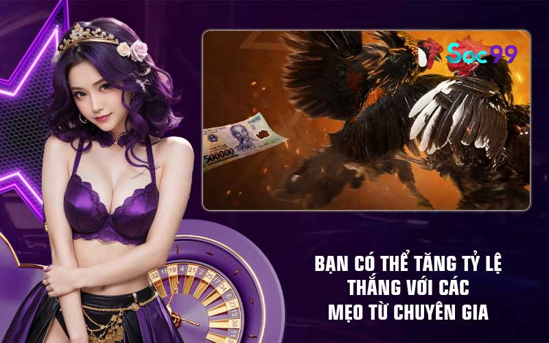 Bạn có thể tăng tỷ lệ thắng với các mẹo từ chuyên gia